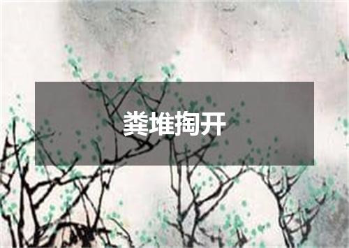 粪堆掏开