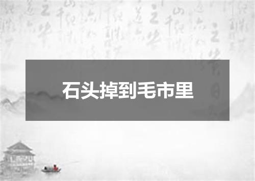 石头掉到毛市里