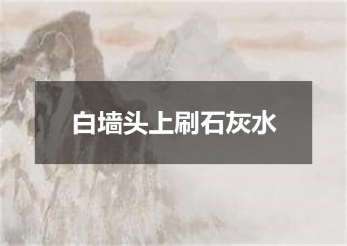 白墙头上刷石灰水