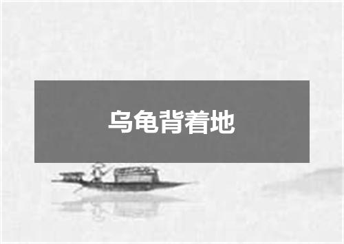 乌龟背着地