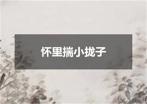 怀里揣小拢子
