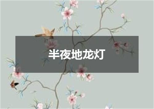 半夜地龙灯
