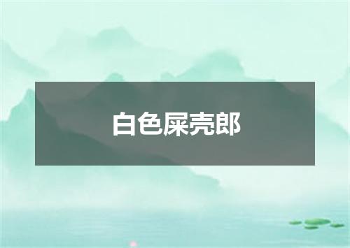 白色屎壳郎