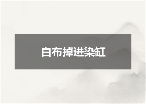 白布掉进染缸