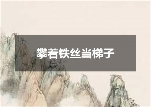 攀着铁丝当梯子
