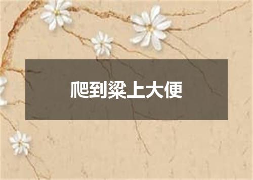 爬到粱上大便
