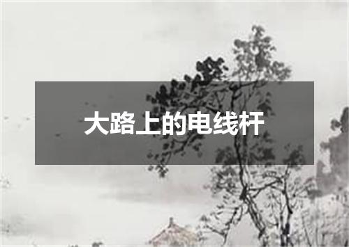 大路上的电线杆