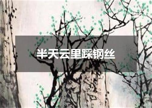 半天云里踩钢丝