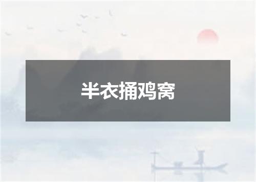 半衣捅鸡窝