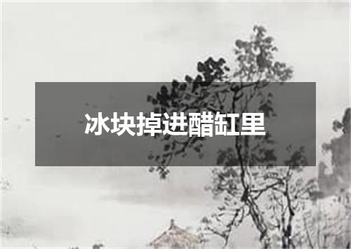 冰块掉进醋缸里