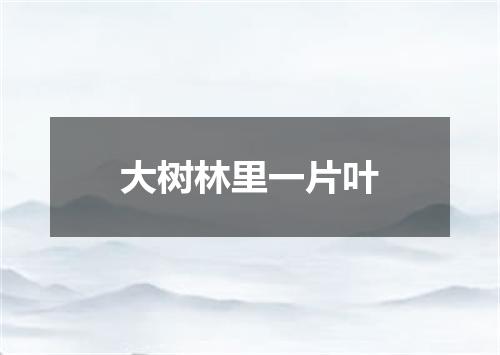 大树林里一片叶