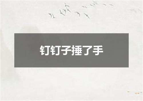 钉钉子捶了手