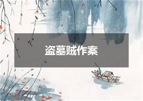 盗墓贼作案