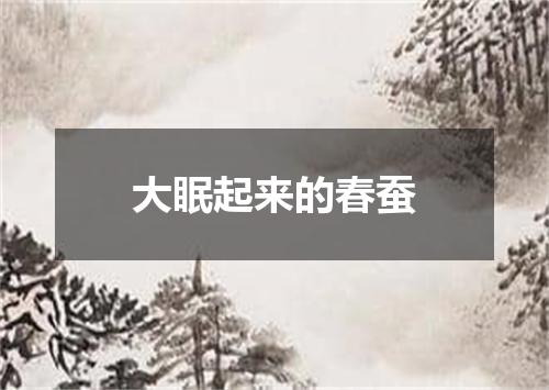 大眠起来的春蚕