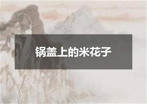 锅盖上的米花子