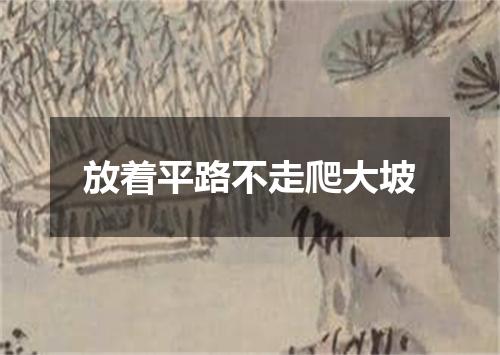 放着平路不走爬大坡