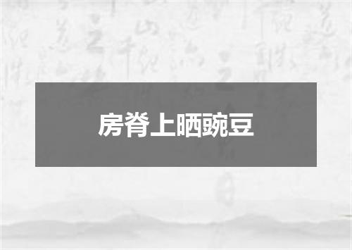 房脊上晒豌豆