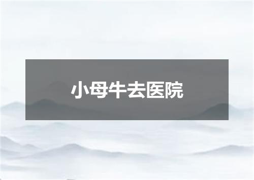 小母牛去医院