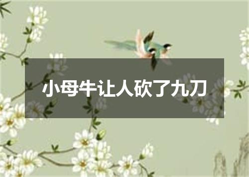 小母牛让人砍了九刀