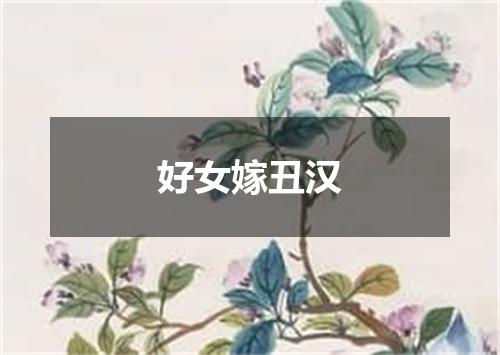 好女嫁丑汉