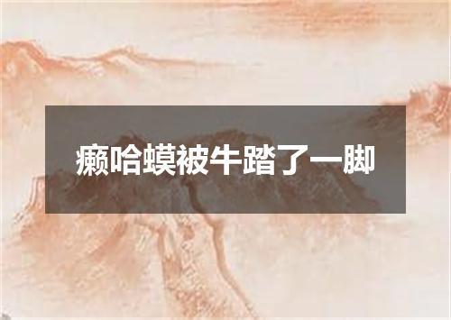 癞哈蟆被牛踏了一脚