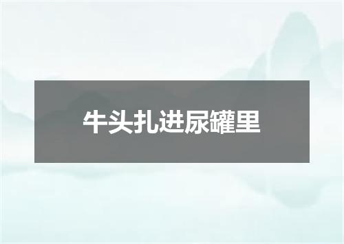 牛头扎进尿罐里