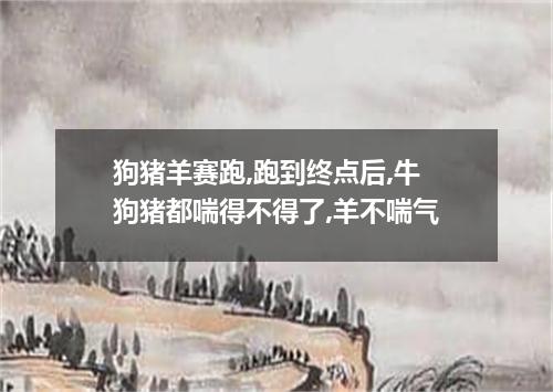 狗猪羊赛跑,跑到终点后,牛狗猪都喘得不得了,羊不喘气