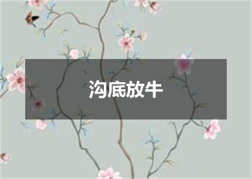 沟底放牛