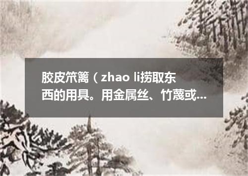 胶皮笊篱（zhao li捞取东西的用具。用金属丝、竹蔑或柳条等编成。有长柄）
