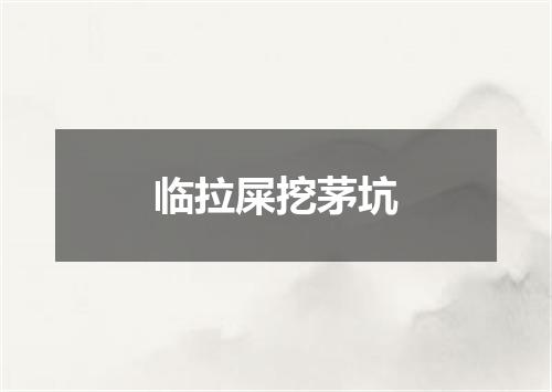临拉屎挖茅坑