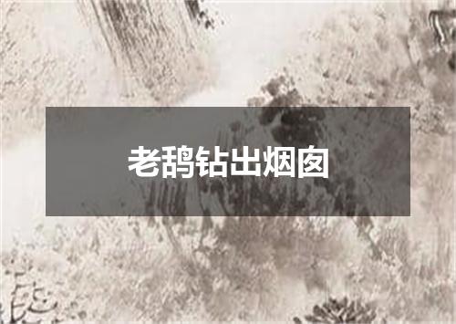 老鸹钻出烟囱