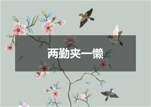 两勤夹一懒
