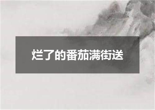 烂了的番茄满街送