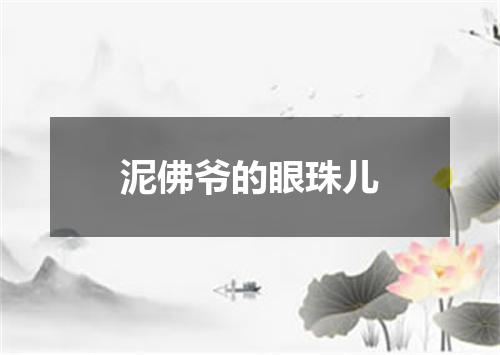 泥佛爷的眼珠儿