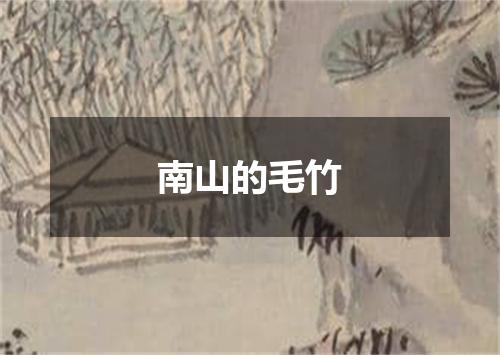 南山的毛竹