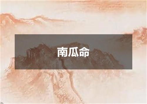 南瓜命