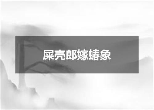 屎壳郎嫁蝽象