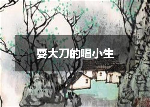 耍大刀的唱小生
