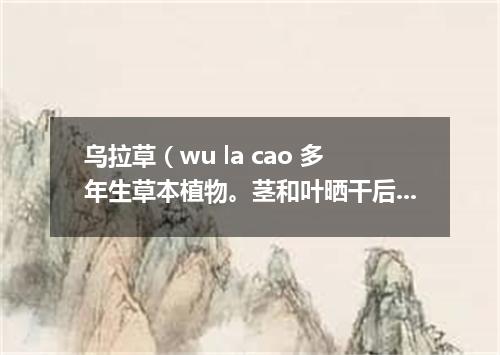 乌拉草（wu la cao 多年生草本植物。茎和叶晒干后垫在鞋或靴子里可以保暖）搀鸡毛