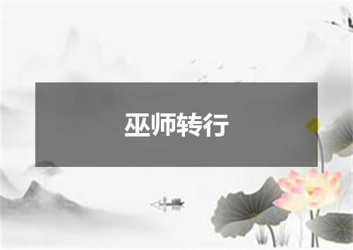巫师转行