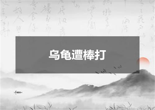 乌龟遭棒打