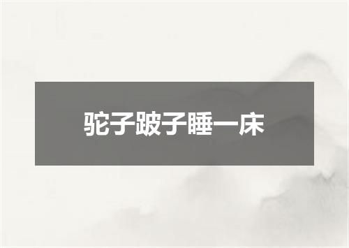 驼子跛子睡一床