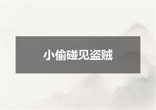 小偷碰见盗贼