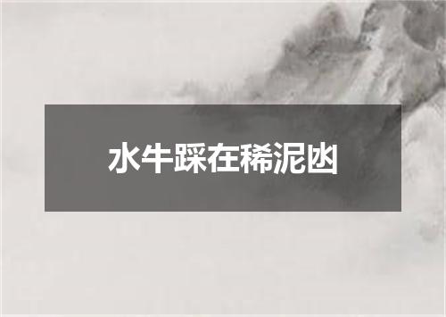 水牛踩在稀泥凼