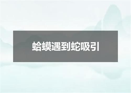 蛤蟆遇到蛇吸引