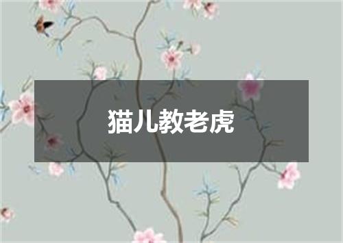 猫儿教老虎