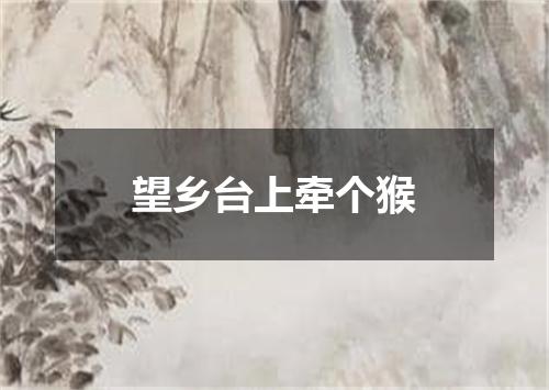 望乡台上牵个猴