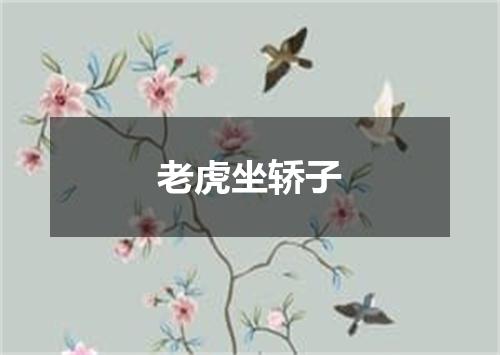 老虎坐轿子