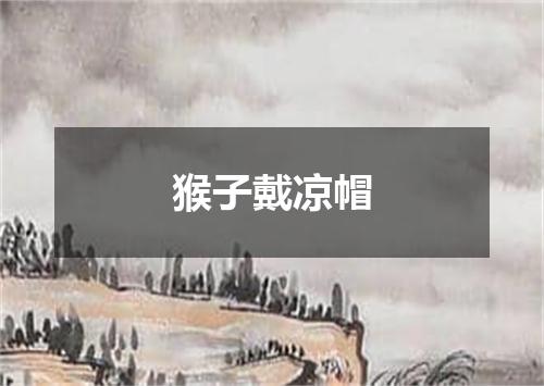 猴子戴凉帽