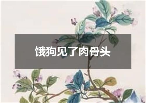 饿狗见了肉骨头